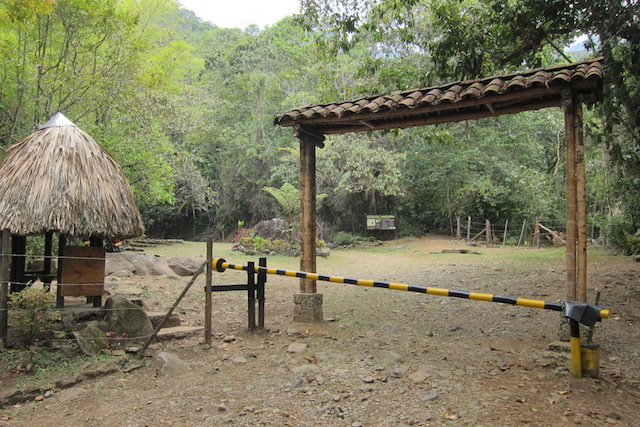 Tour a Caminata Pico de Loro 